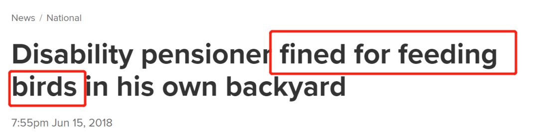 以后再在CBD做这件事罚款$100！游客最爱的娱乐活动、拍照方式，马上就要绝版了！（组图） - 29
