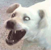 成人网站冷知识：中国竟是亚洲霸主丨科技资讯