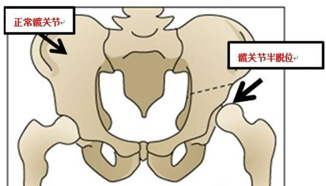 55分身材怎样能变37分