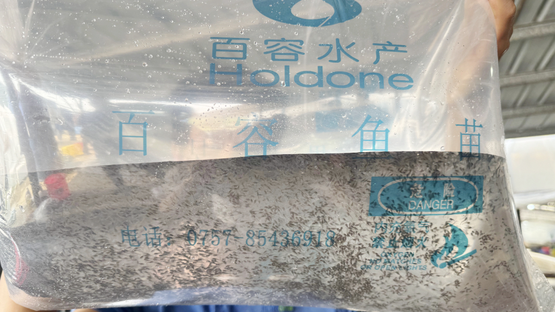 水上春耕正当时,海大集团以"良种 良法 良养"保障水产种苗供应