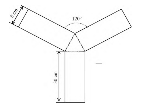 动物行为学进阶版攻略（8）丨Y迷宫和T迷宫实验如何选择？