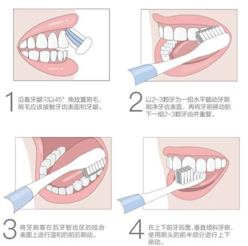 【愛牙日•口腔健康 全身健康】海德堡聯合口腔攜手天津廣播電視臺守護市民口腔健康 健康 第4張