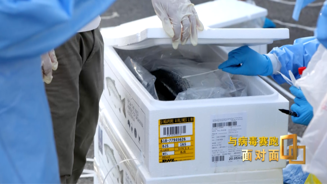 “西城大爷”要出院了！新发地疫情得到控制，他的最强大脑功不可没；临别时他特别想说…（视频/组图） - 15