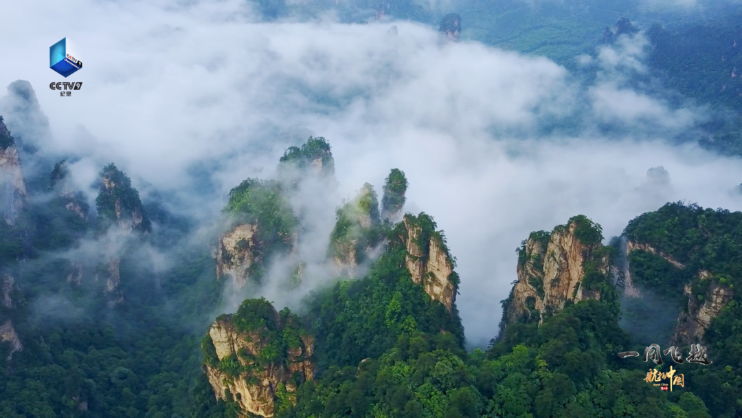 你喜歡的樣子，我都有 旅遊 第24張