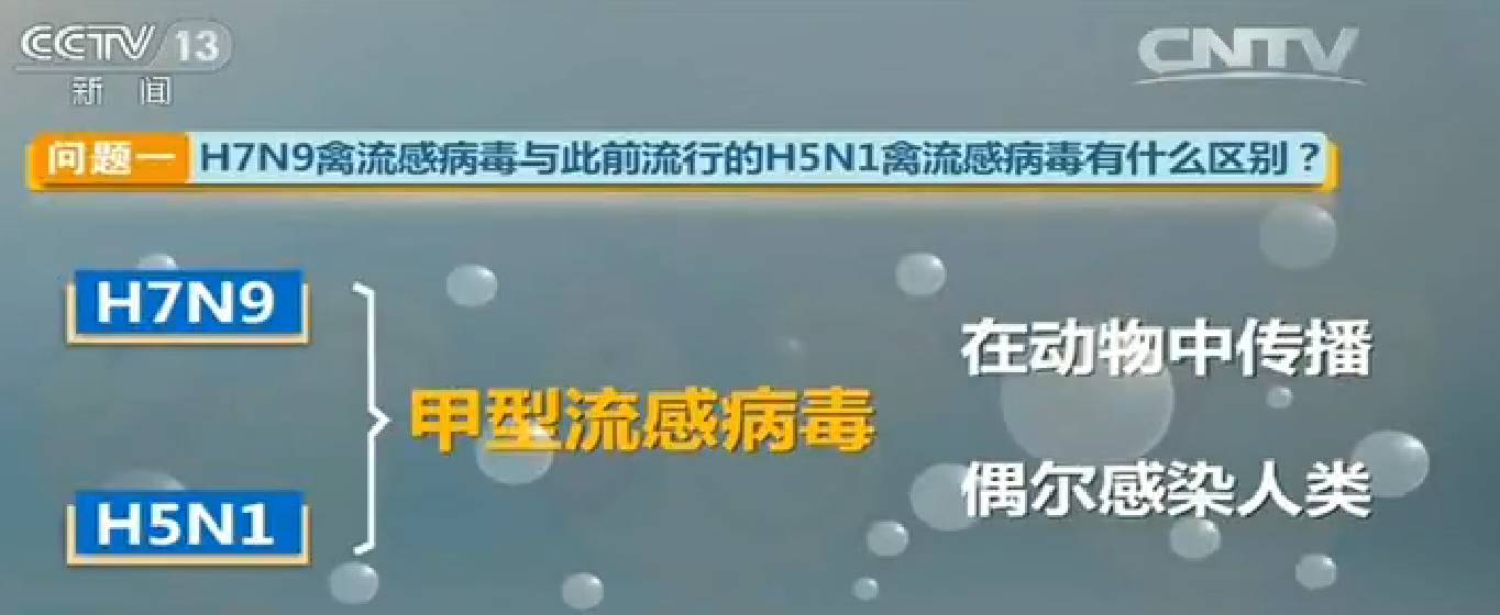 加热到70度就算病鸡也能吃 禽流感高发期告诉你鸡鸭肉蛋的正确打开