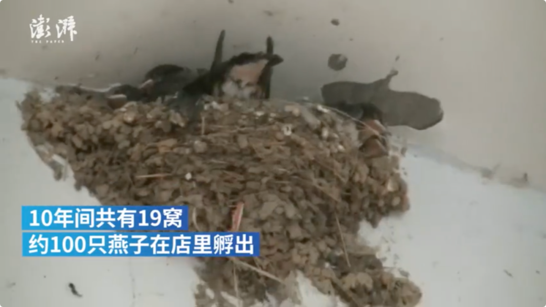 央视新闻|这个约定好暖！老板为它们留了十年的门