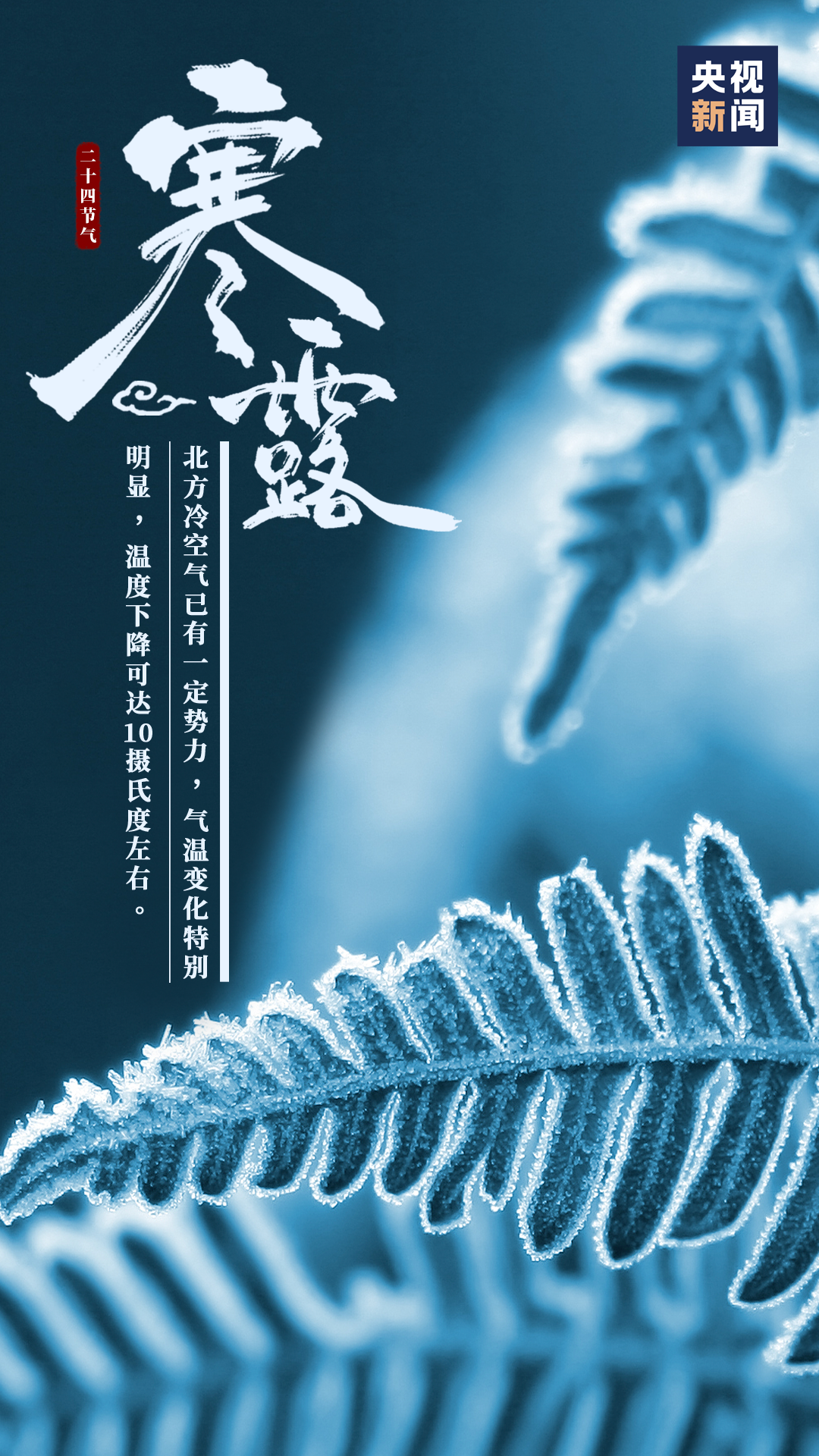 节气|露已寒，将为霜