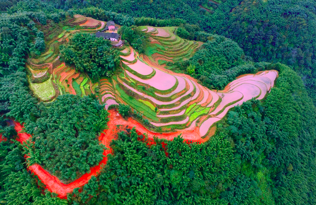 愛上貴州的N個理由→ 旅遊 第4張