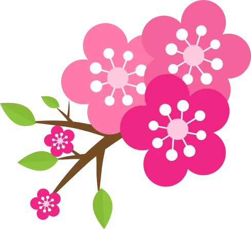 桃花分割线 图片