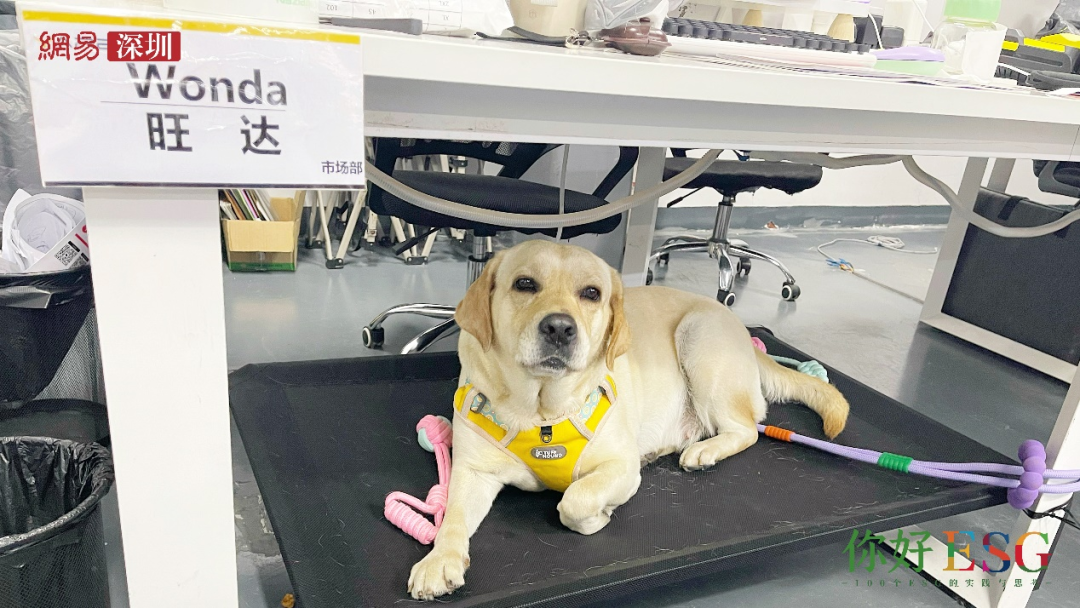 yarbo汉阳科技创始人黄阳:通过科技创新提升人类的生活品质