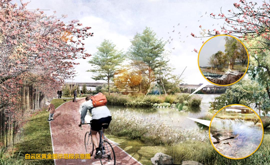 规划曝光！20公里！广州西部科技创新带来了！