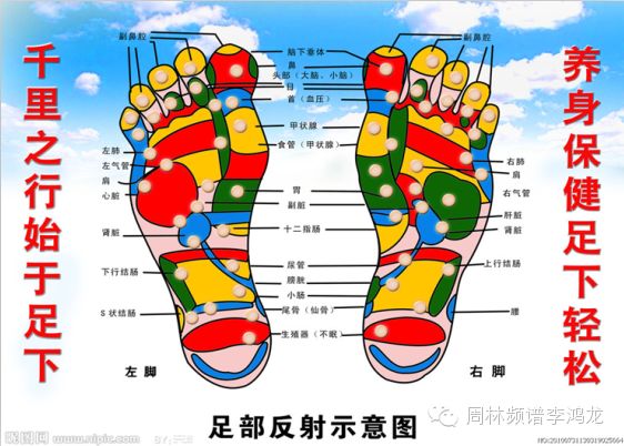 什么是频谱治疗周林频谱桶的治疗原理和功效介绍_https://www.jmylbn.com_新闻资讯_第9张