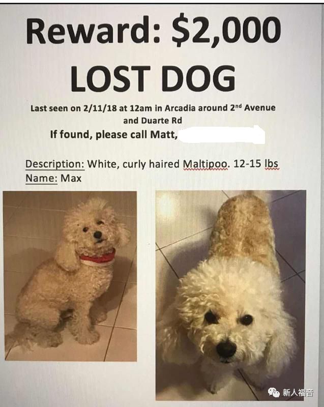 狗年话狗 新人福音xinrenfuyin