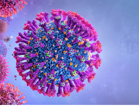 2021年7月1日新闻播报:delta变种病毒在罗一城市开始社区传播;调查