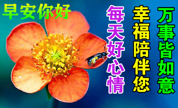 今日最新早安早上好精选，你我平安保健康(今日早安心语简单一句话)
