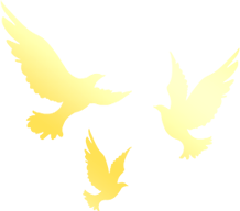 640 (9).png