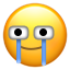 片