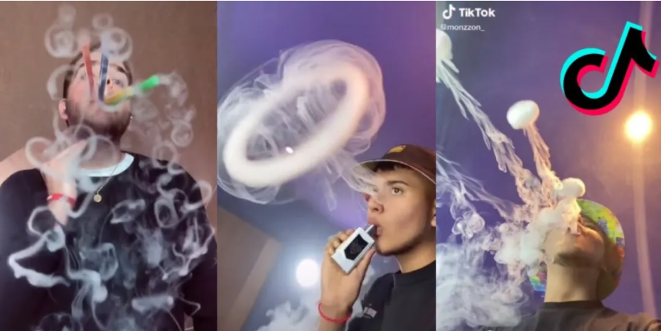 一年增10倍！悉尼顶级私校安装监控，只因这只“披着羊皮的狼”...（组图） - 12
