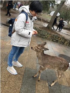 【同濟(jì)準(zhǔn)MPA備考分享】學(xué)海無涯，早日上岸