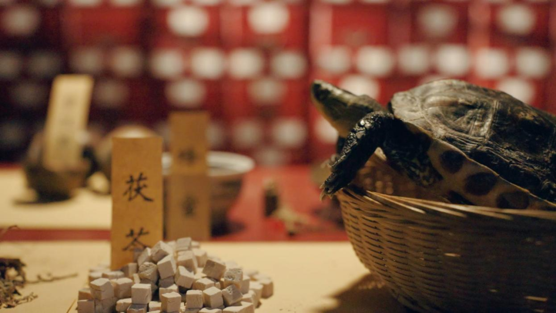 图片2 “双钱”牌龟苓部分原材料展示.png