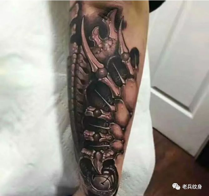 纹身素材第445期——欧美传统写实小臂