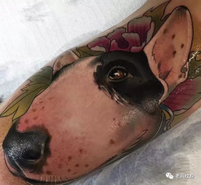 纹身素材第445期——欧美传统写实小臂