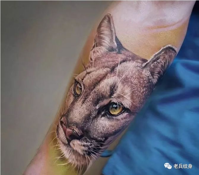 纹身素材第445期——欧美传统写实小臂