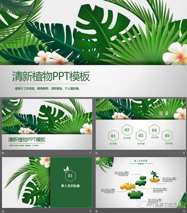 绿色宽叶植物背景ppt模板免费下载 Ppt免费下载素材 微信公众号文章阅读 Wemp