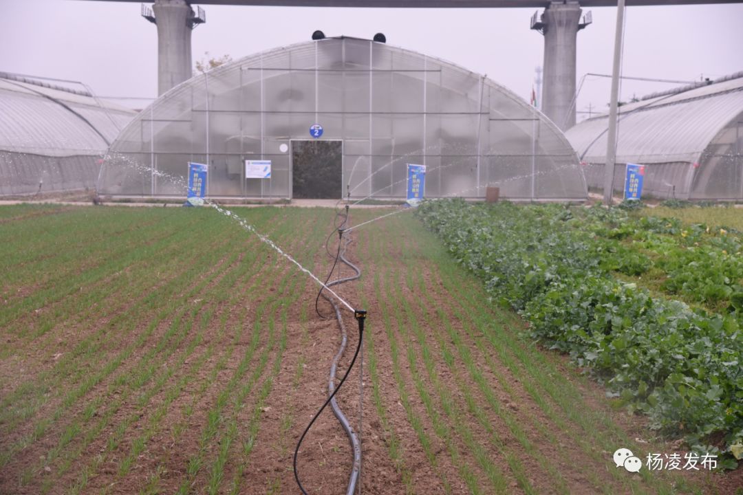 一部手機調控300畝園子水肥！中以合作做到農業智慧化 科技 第14張
