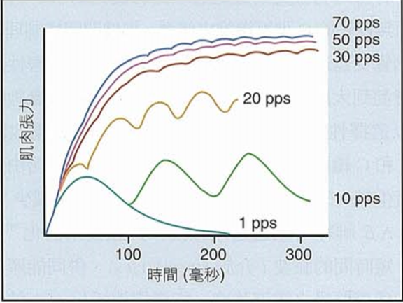 低频电刺激是什么科普｜低频之神经肌肉电刺激_https://www.jmylbn.com_新闻资讯_第10张