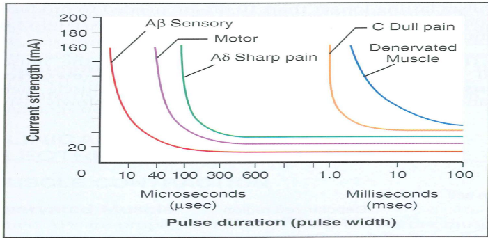低频电刺激是什么科普｜低频之神经肌肉电刺激_https://www.jmylbn.com_新闻资讯_第3张