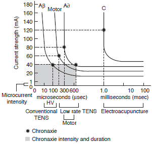 低频电刺激是什么科普｜低频之神经肌肉电刺激_https://www.jmylbn.com_新闻资讯_第11张