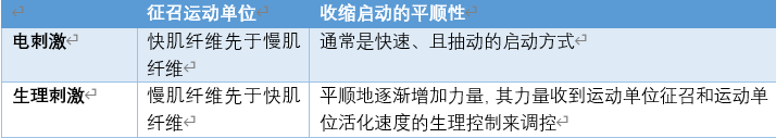低频电刺激是什么科普｜低频之神经肌肉电刺激_https://www.jmylbn.com_新闻资讯_第6张