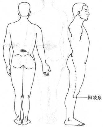 【病例分享】厲害了！不但解決了腰痛，還成功「瘦身了」突出的椎間盤！！ 未分類 第9張