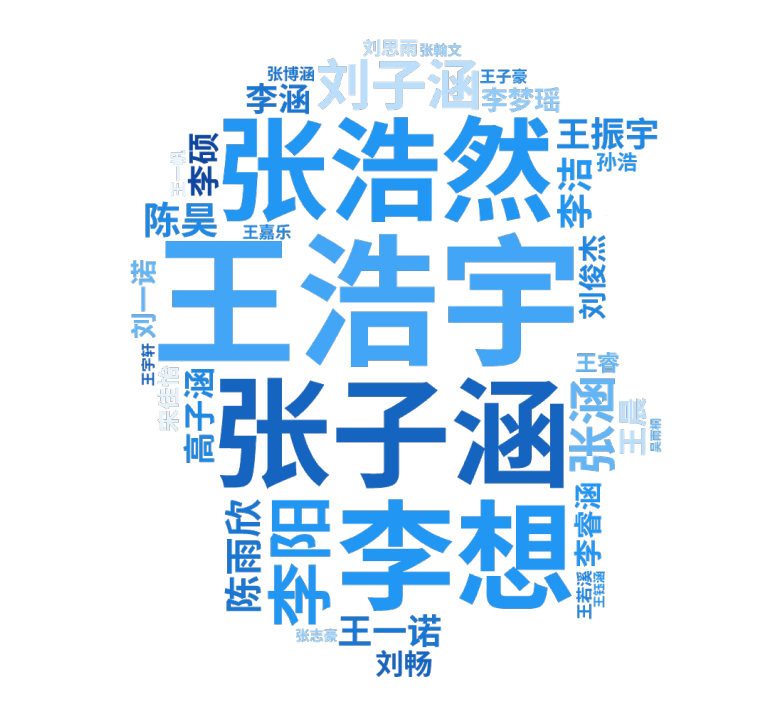 本科生名字词云图.png