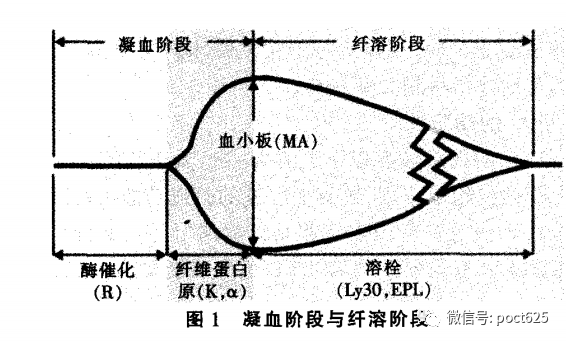 ​血栓弹力图(TEG）工作原理、7大类应用、5类局限性介绍