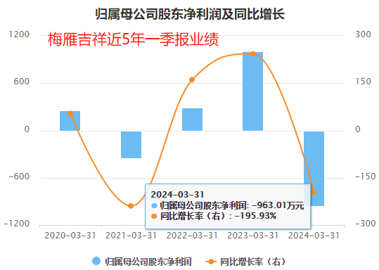 2024年09月18日 梅雁吉祥股票