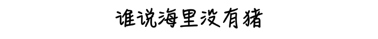 未命名(2) (20).png