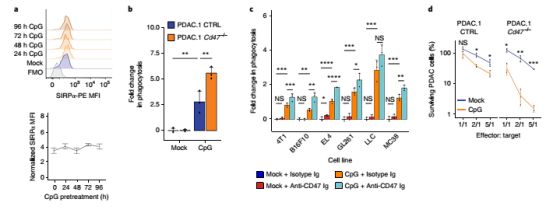 下圣旨、吃皇糧，“招安”巨噬細胞，反殺腫瘤！