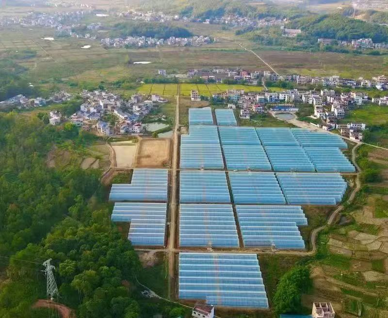 乡村振兴破千难探索乡镇经济发展模式走进小江镇