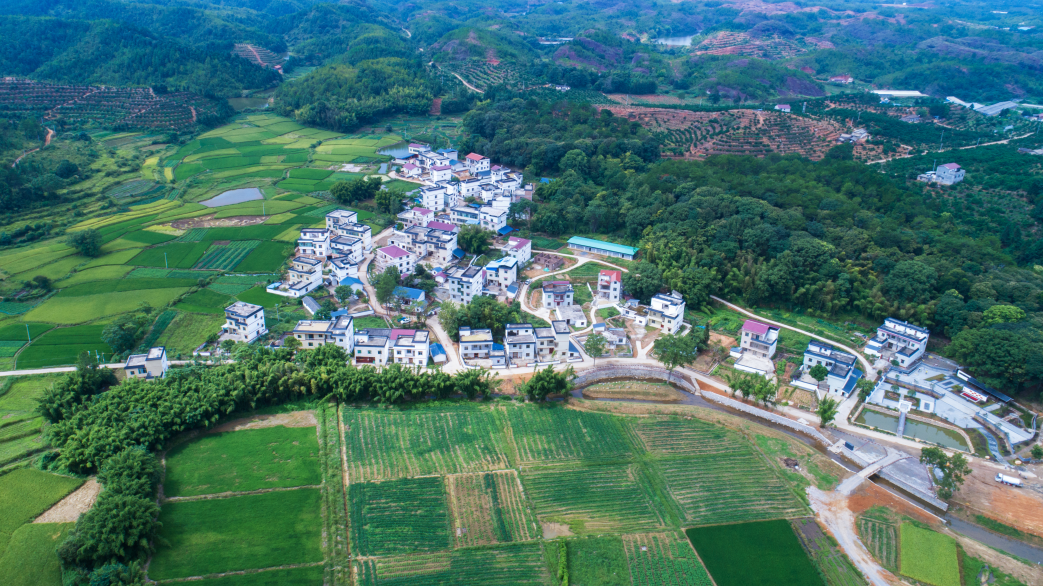 信丰主干道沿线环境整治见成效 | 信丰县信息公开