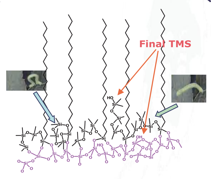 L-UHPLC低壓超高效液相結(jié)合
