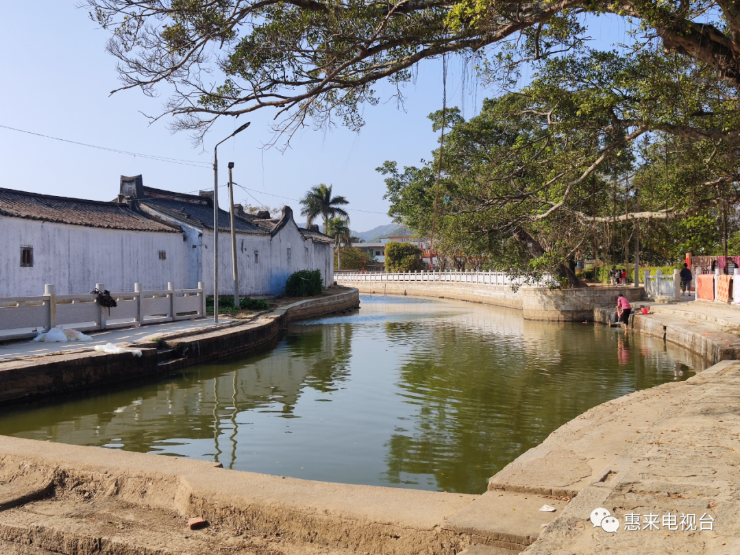 聚焦乡村振兴周田镇因地制宜发展产业扶贫推动乡村振兴发展战略