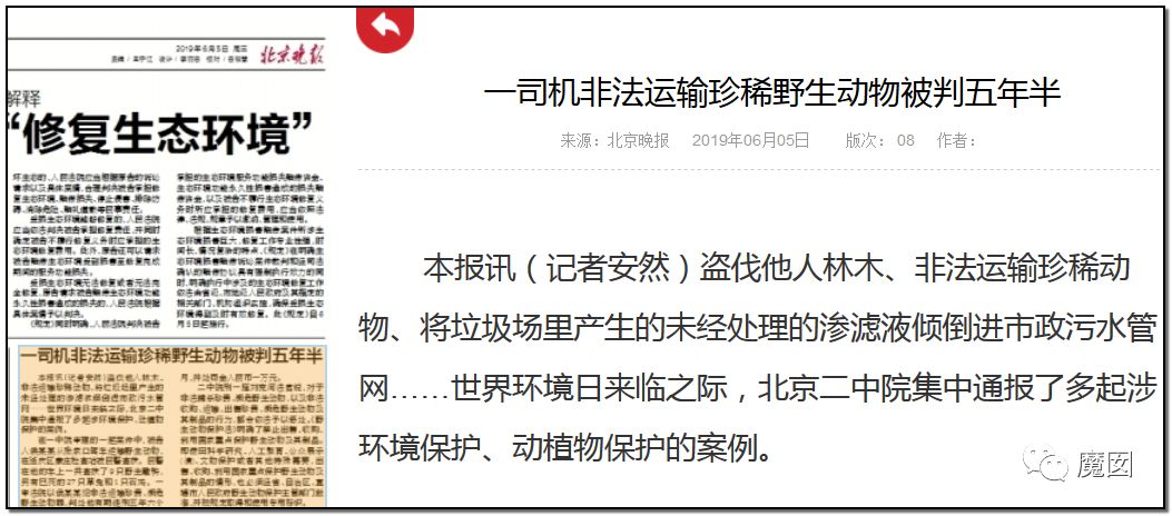 央视再次发出最强音！比贩毒更赚钱，中国某些人豁命追捧的恐怖野味市场彻底凉了！（组图） - 23