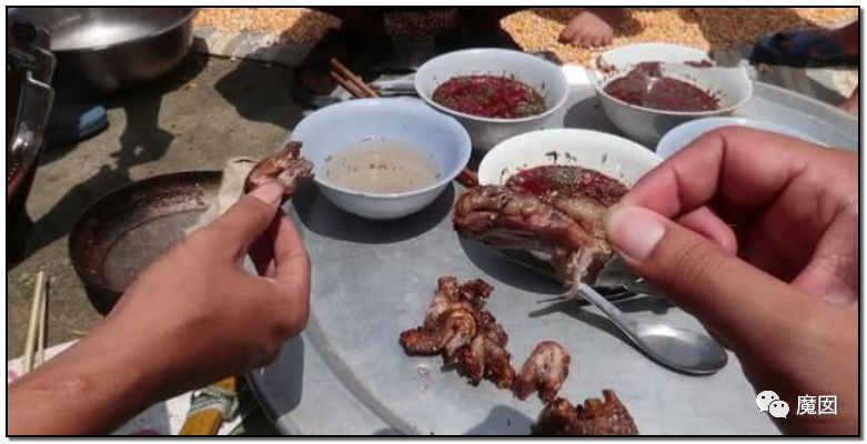 央视再次发出最强音！比贩毒更赚钱，中国某些人豁命追捧的恐怖野味市场彻底凉了！（组图） - 52