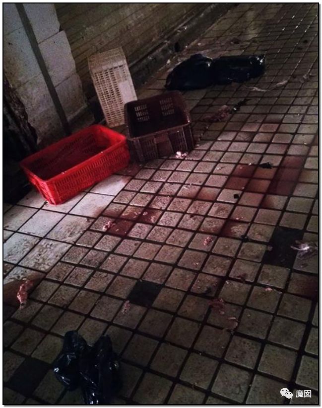 央视再次发出最强音！比贩毒更赚钱，中国某些人豁命追捧的恐怖野味市场彻底凉了！（组图） - 39
