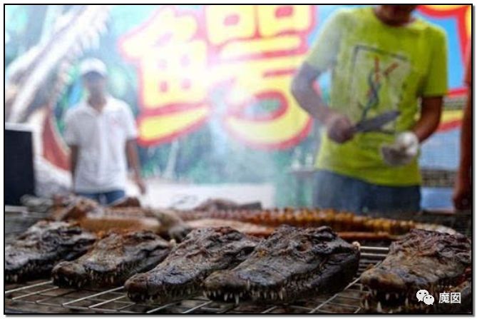 央视再次发出最强音！比贩毒更赚钱，中国某些人豁命追捧的恐怖野味市场彻底凉了！（组图） - 89