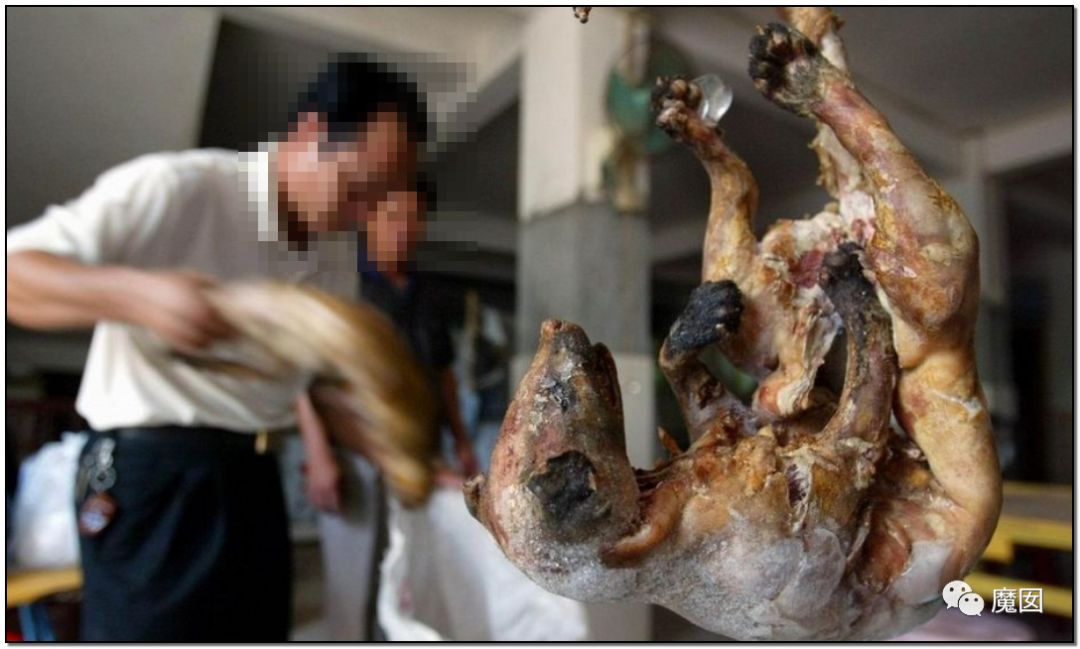 央视再次发出最强音！比贩毒更赚钱，中国某些人豁命追捧的恐怖野味市场彻底凉了！（组图） - 56