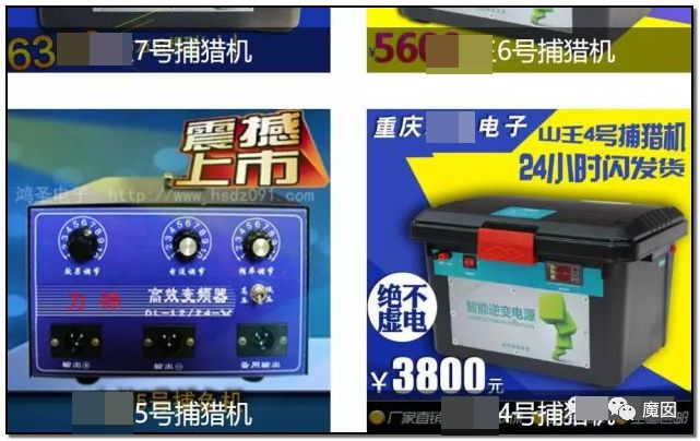 央视再次发出最强音！比贩毒更赚钱，中国某些人豁命追捧的恐怖野味市场彻底凉了！（组图） - 16
