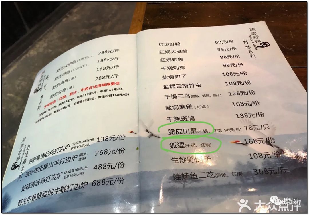 央视再次发出最强音！比贩毒更赚钱，中国某些人豁命追捧的恐怖野味市场彻底凉了！（组图） - 25
